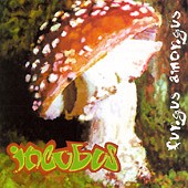 Buy this CD at CDNOW.com